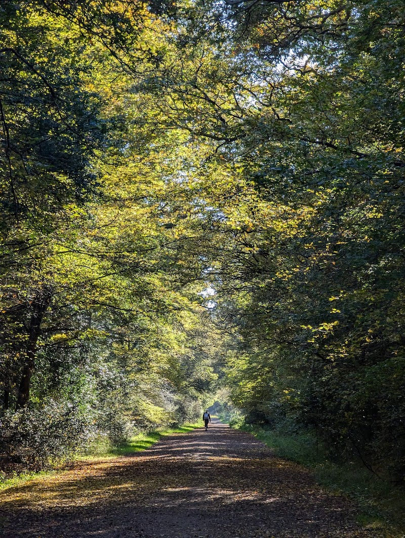Epping Forest NW
