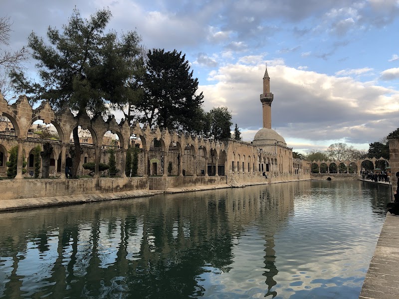 مدينة