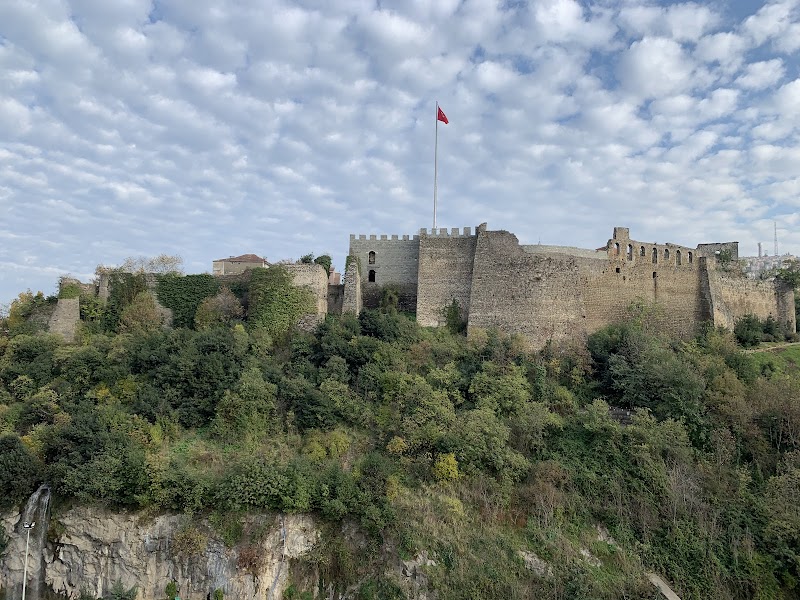مدينة
