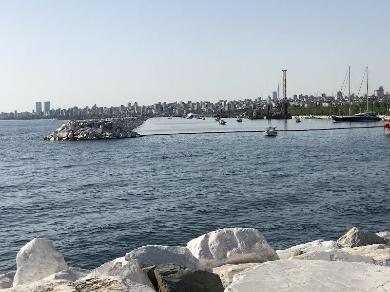 Doğa